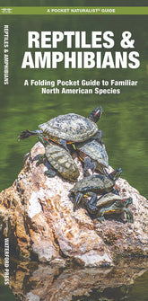 Repitles & Amphibians: A Folding Pocket Guide to Familiar North American Species